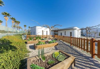 Magno Veg patch