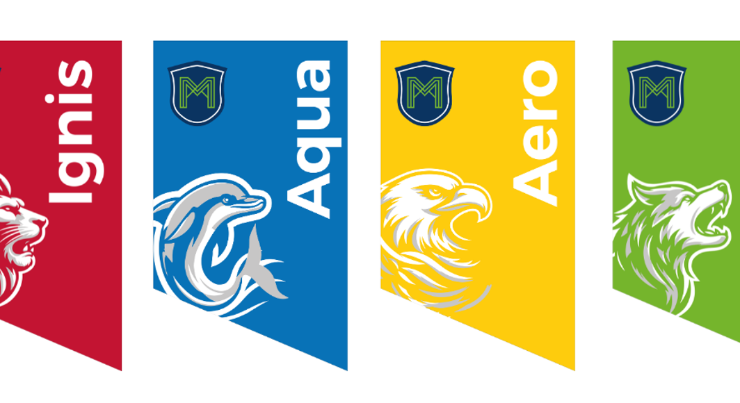 MAGNO HOUSE SYSTEM 1776 x 444 px